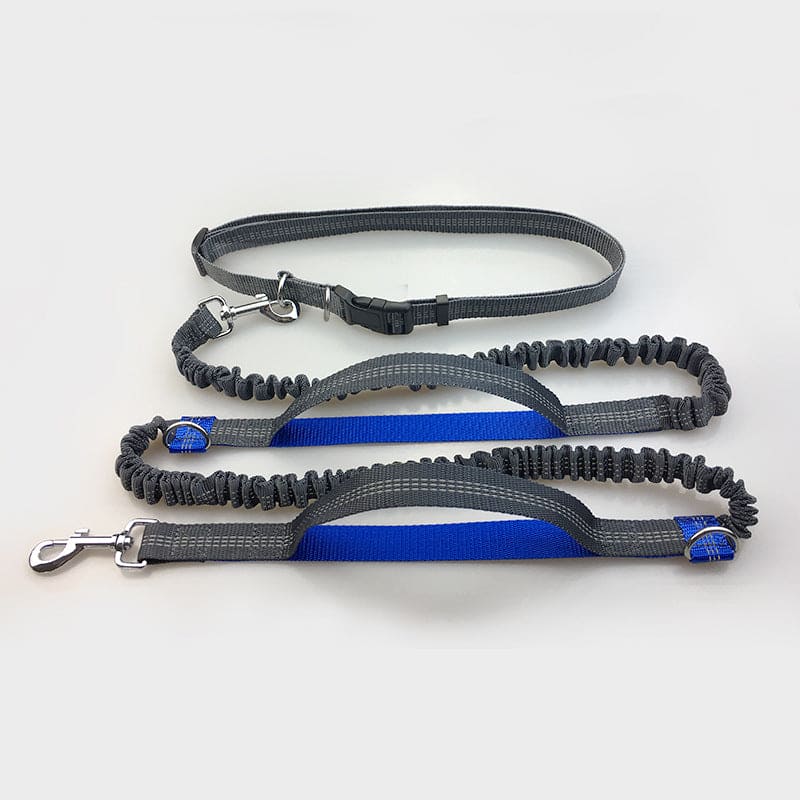 Amazon, pet supplies, dog leash, dog leash, Groovepets