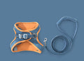 Cat-Traction-Rope-Chest-Strap