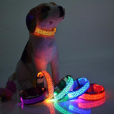 LED Safety Adjustable Nylon Leopard Pet Collar Groovepets