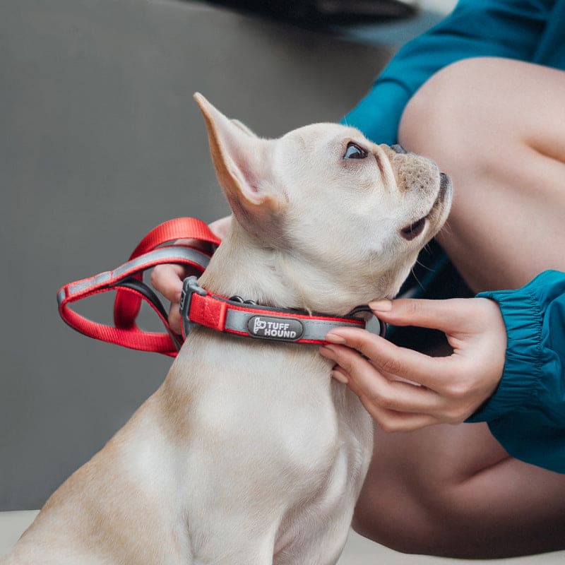 Dog-Collar-Pet-Products-Reflective-Full-Neck