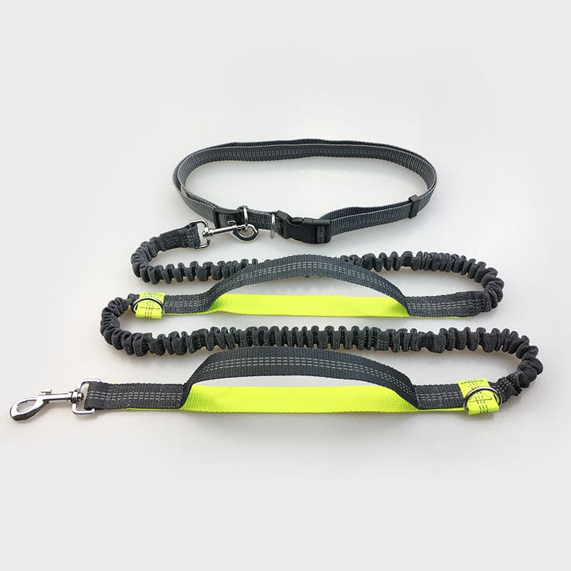 Amazon, pet supplies, dog leash, dog leash, Groovepets