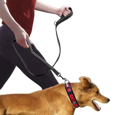 Pet Double Handle Pull Leash Groovepets pets supplies