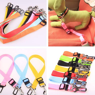 Groovepets Fixed Strap Polyester, Strap Dog Leash Dog Leash