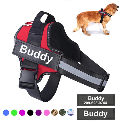 Personalized Dog Harness Pet Harness Pet Supplies Groovepets